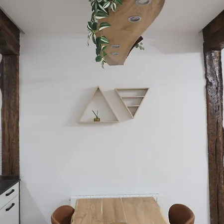 Apartman Etxe Maitia Flat Ideal For Office And Families And Friends *